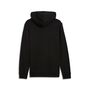 Puma ESS Small No. 1 Logo Hoodie TR - schwarz