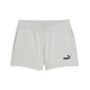 Puma ESS Small No. 1 Logo 4 Shorts TR - grau