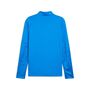 Puma teamCUP Training 1/4 Zip Top - blau