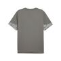 Puma teamCUP Training Jersey - grau