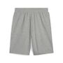 Puma ESS 2 COLOR No. 1 Logo Shorts 10 TR - grau