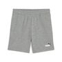 Puma ESS 2 COLOR No. 1 Logo Shorts TR B - grau