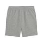Puma ESS 2 COLOR No. 1 Logo Shorts TR B - grau