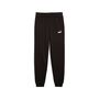 Puma ESS 2 COLOR No. 1 Logo Sweatpants FL B - schwarz 