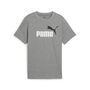 Puma ESS 2 COLOR No.1 Logo Tee B - grau
