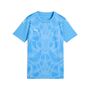 Puma teamULTIMATE Jersey Jr - blau