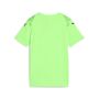 Puma teamULTIMATE Jersey Jr - gr�n