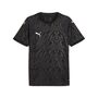 Puma teamCUP Jersey - schwarz