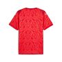 Puma teamCUP Jersey - rot