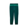 Puma FPF PUMATECH Track Pants WV - gr�n