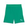 Puma teamCUP Shorts - gr�n