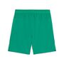 Puma teamCUP Shorts - gr�n