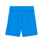 Puma teamCUP Shorts - blau
