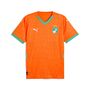 Puma FIF Home Jersey Replica - orange