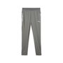 Puma teamCUP Training Pants - grau