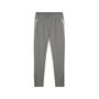 Puma teamCUP Training Pants - grau