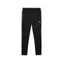 Puma teamCUP Training Pants - schwarz