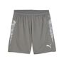 Puma teamCUP Training Shorts - grau