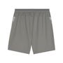 Puma teamCUP Training Shorts - grau