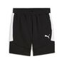 Puma teamEVOSTRIPE Shorts - schwarz