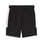 Puma teamEVOSTRIPE Shorts - schwarz