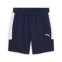 Puma teamEVOSTRIPE Shorts - blau