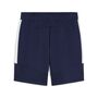 Puma teamEVOSTRIPE Shorts - blau