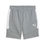 Puma teamEVOSTRIPE Shorts - grau