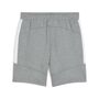 Puma teamEVOSTRIPE Shorts - grau