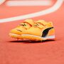 Puma evoSPEED Triple Jump/PV 12 Ultraweave - orange