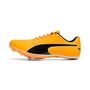 Puma evoSPEED Sprint 14.5 - orange