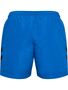 Hummel Hmlned Swim Shorts - skydiver