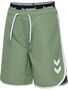 Hummel Hmlswell Board Shorts - hedge green