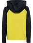 Hummel Hmllead 2.0 Zip Hoodie Kids - blazing yellow/black