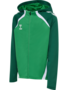 Hummel Hmllead 2.0 Zip Hoodie Kids - jelly bean/evergreen
