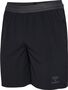 Hummel Hmlpro Training Shorts - black