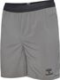 Hummel Hmlpro Training Shorts - steel gray