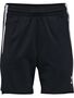 Hummel Hmllead 2.0 Training Shorts Woman - black