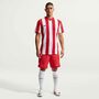 Nike M Nk Df Strp Dvsn V Jsy Ss Fu�balltrikot