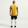 Nike M Nk Df Strp Dvsn V Jsy Ss Fu�balltrikot