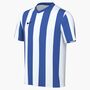 Nike Y Nk Df Strp Dvsn V Jsy Ss Fu�balltrikot
