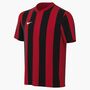 Nike Y Nk Df Strp Dvsn V Jsy Ss Fu�balltrikot