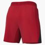 Nike M Nk Dfadv Vapor V Short K - university red/speed red/white