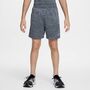 Nike B Nk Df Multi Short Lbr Hthr - black/lt smoke grey/black/white