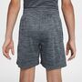 Nike B Nk Df Multi Short Lbr Hthr - black/lt smoke grey/black/white
