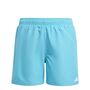 adidas Solid Shorts By Sportshorts
