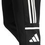 adidas Sq25 Tr Pnt Trainingshose