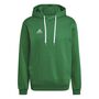 adidas Ent22 Hoody - teagrn/white