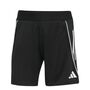 adidas Tiro 25C Tr Show Trainingsanzug