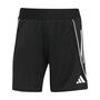 adidas Tiro 25C Tr Show Trainingsanzug